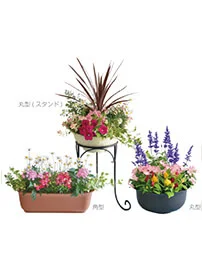 観葉植物レンタル