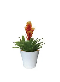 観葉植物レンタル