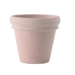 観葉植物レンタル