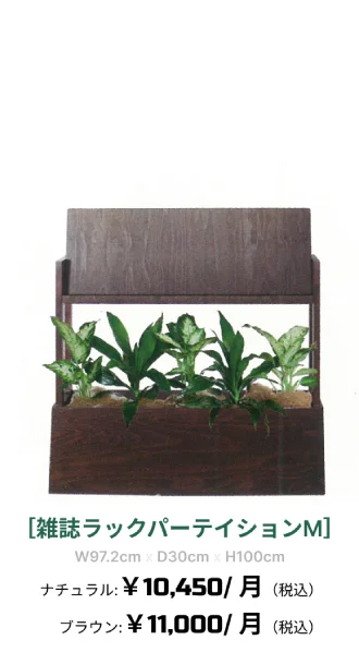 観葉植物レンタル