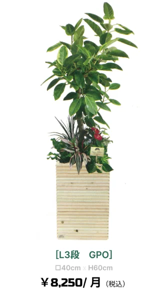 観葉植物レンタル