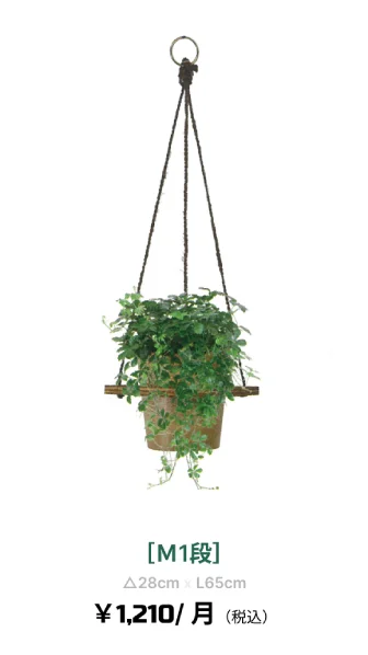 観葉植物レンタル